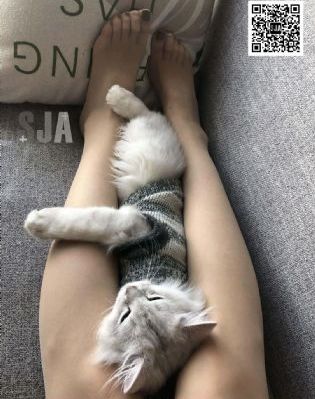 夏目彩春一区二区在线观看_迅雷极速版下载