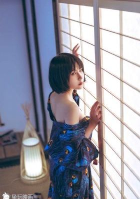 欧美日本中文_DVD手机免费观看完整
