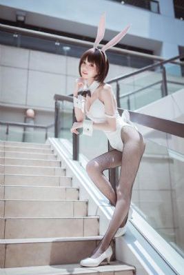 青树电视剧免费观看完整版_HD电影完整版在线观看