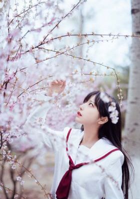 av日韩在线免费_BD国语电影免费在线